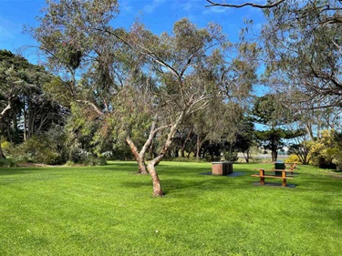 BBQ's and picnic tables