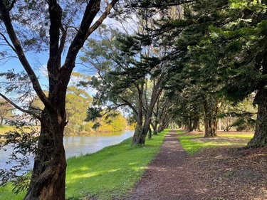 Canal walking track