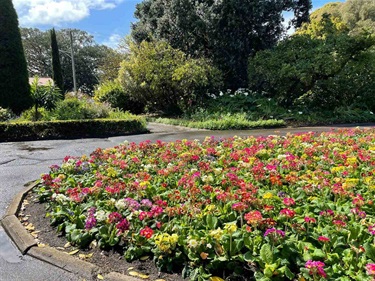 Flower Roundabout