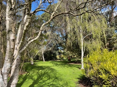 Gardens through the trees