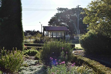 Tram Stop