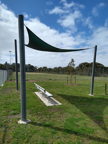 Shade in the park