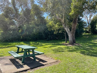 Picnic Table