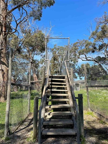 Viewing Platform