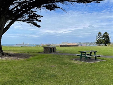 BBQ and picnic table
