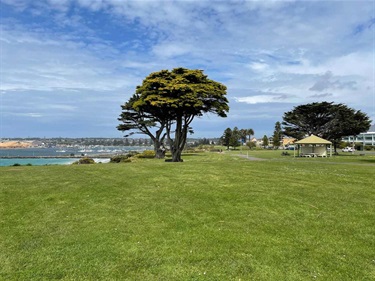 Grassed area