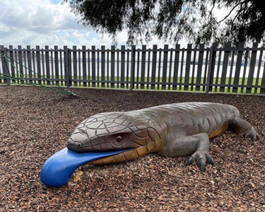 Blue Tongue