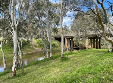 Bridge and river