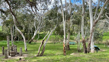Enjoy the Glenelg River