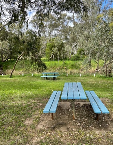 Picnic Tables