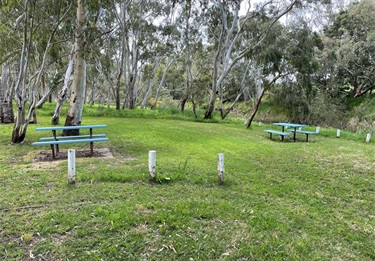 Seated in nature