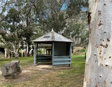 Shelter