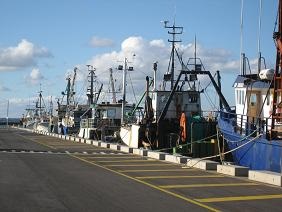 Trawler Wharf