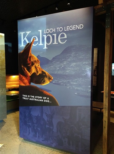 Kelpie Poster