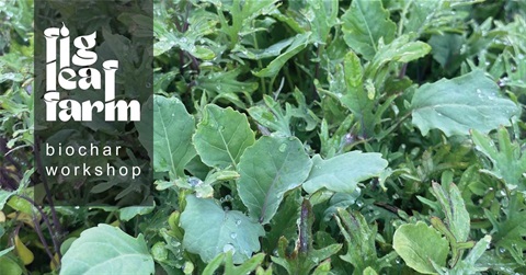 FACEBOOK-BANNERS-FIG-LEAF-FARM-WORKSHOPS-WINTER-25-biochar.jpg