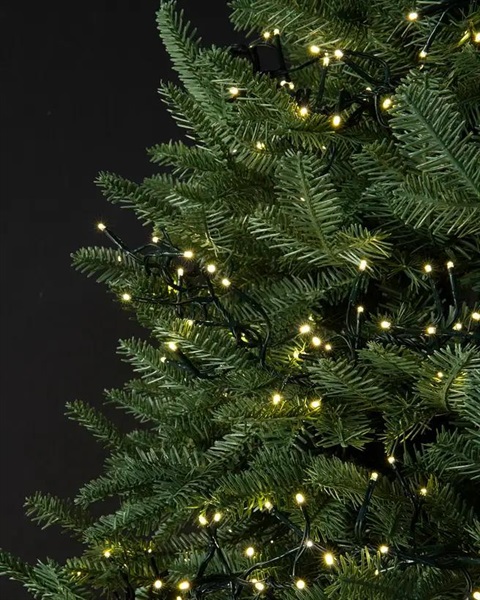 Light-up-night.jpg
