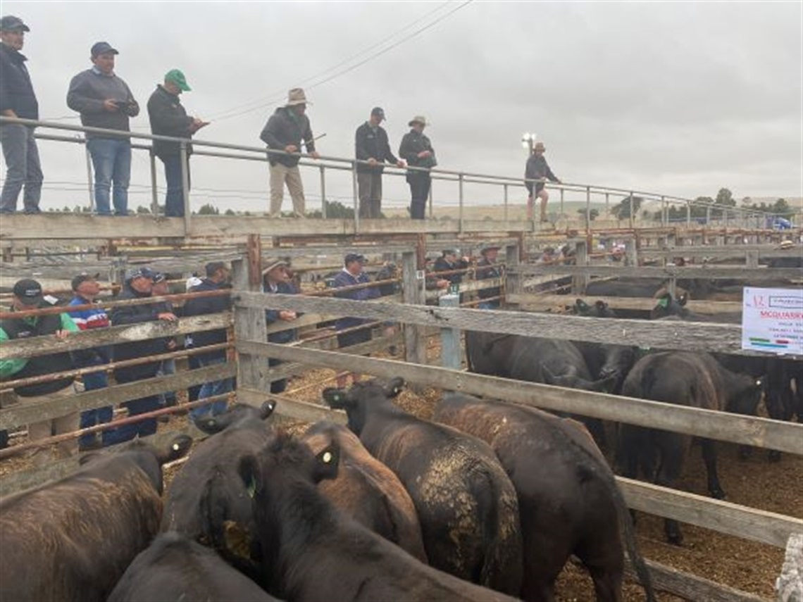 Saleyards.jpg
