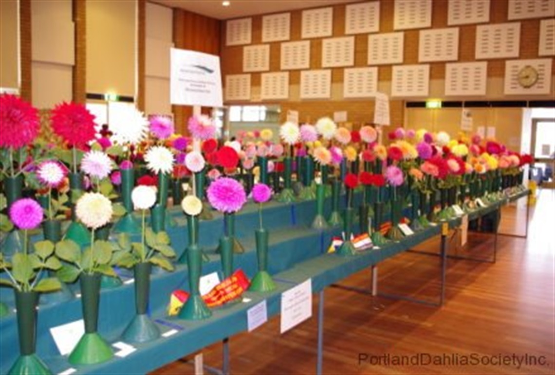 Dahlia Show