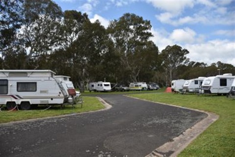 Caravans in the park