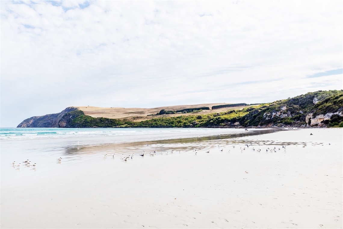 Cape Bridgewater works progress