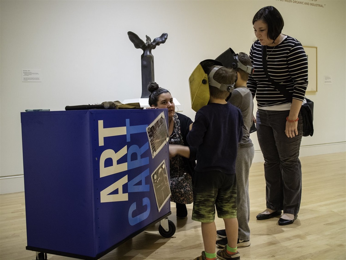 Example of a mobile discovery cart