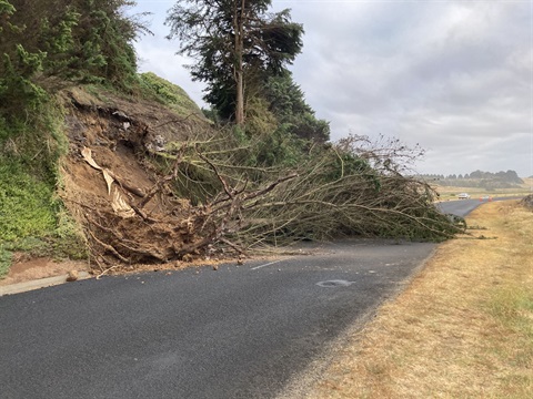 Dutton Way landslip.jpg