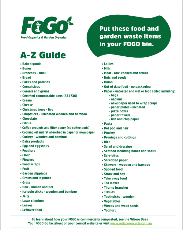fogo facts.PNG