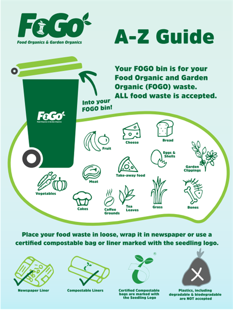 fogo graphic.PNG