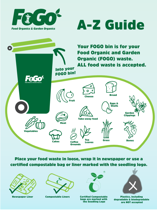 fogo graphic.PNG
