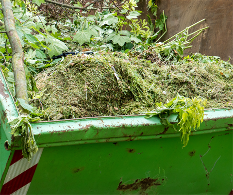 temporarily free green waste disposal