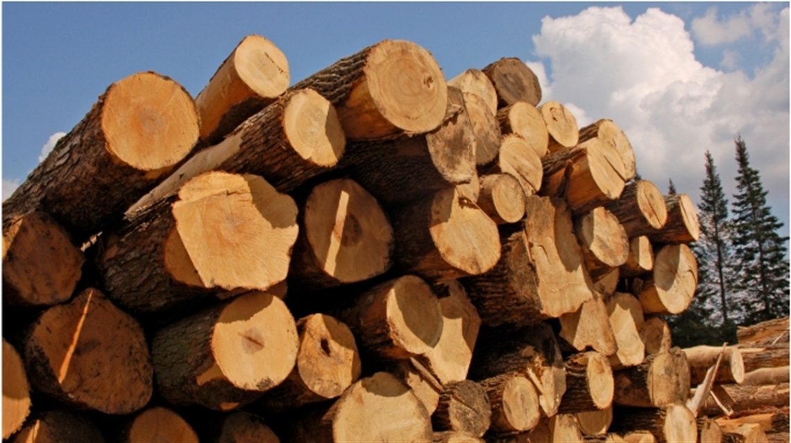 Logs
