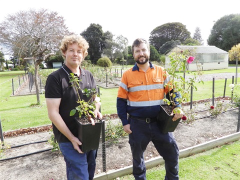Treloar Roses donation Elton Treloar and Adam May.jpg