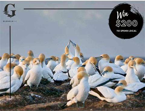 Wild Wonders photography competition.png