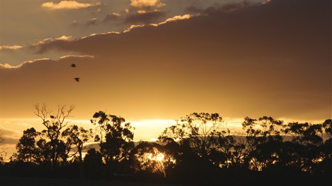 reconciliation-week.jpg