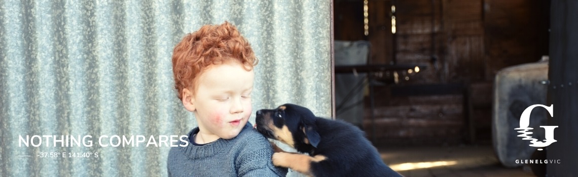 Puppy Love Australian Kelpie